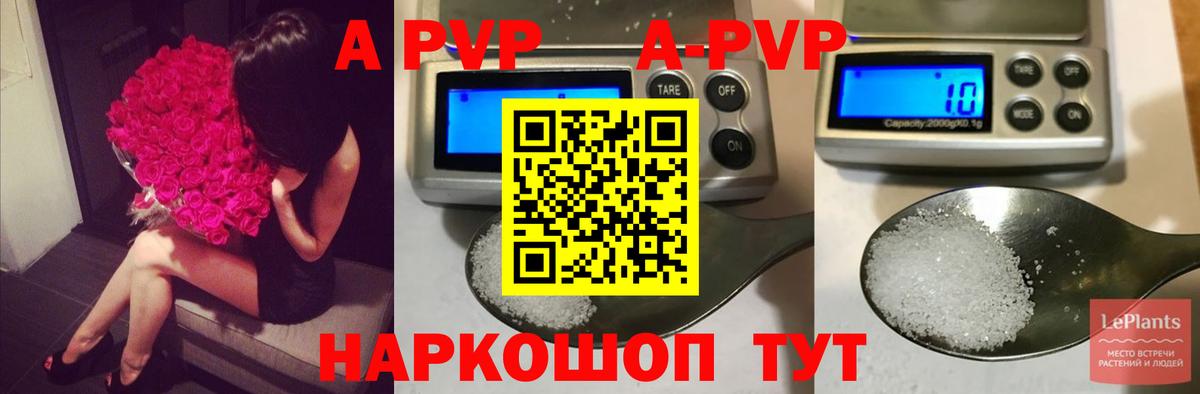 Кингисепп  Alpha-PVP  где найти наркотики  Alfa_PVP Соль  Вход с VPN 