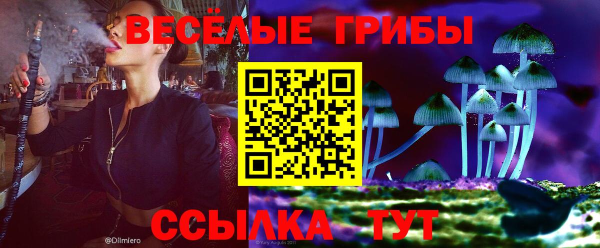 Псилоцибиновые грибы ЛСД  сколько стоит  Вход с VPN  Кингисепп  Псилоцибиновые грибы Psilocybe 