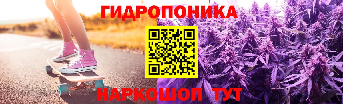 Конопля план Кингисепп